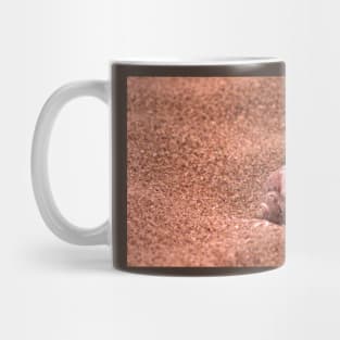 Seasnail shell with hole on the sandy beach, nostalgic photography Mug